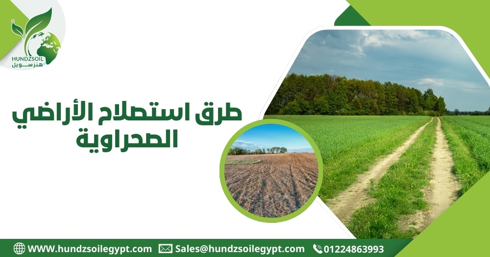 طرق استصلاح الأراضي الصحراوية