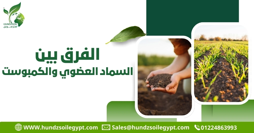 الفرق بين السماد العضوي والكمبوست
