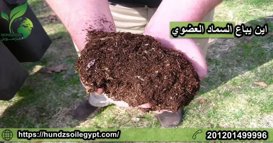 اين يباع السماد العضوي