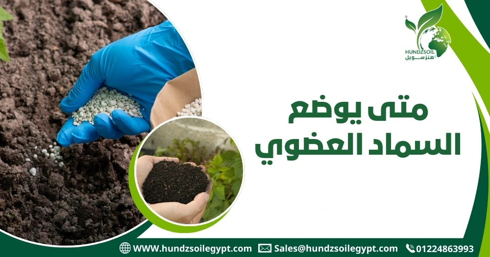 السماد العضوي