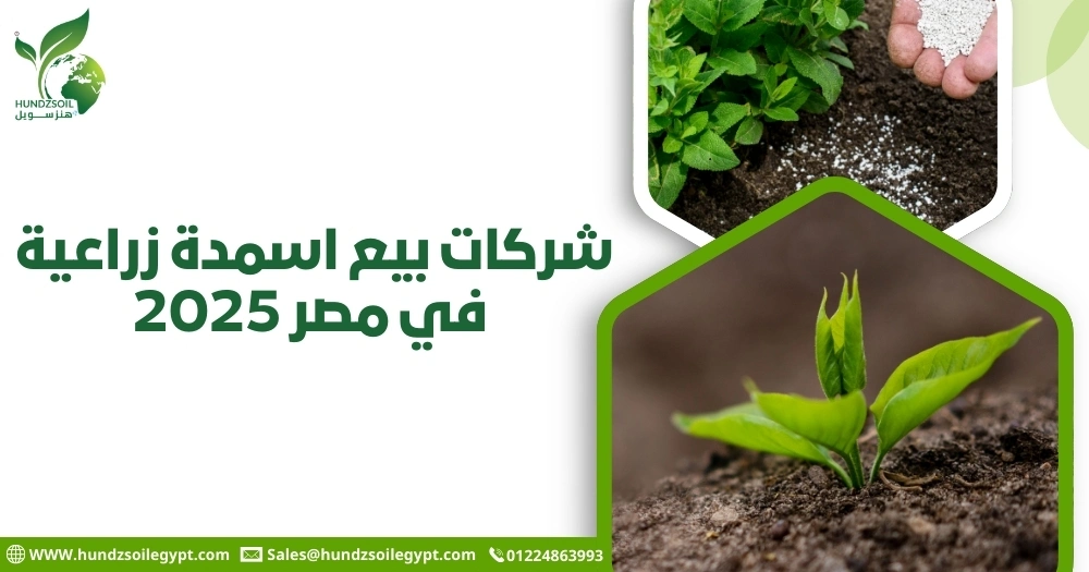 شركات بيع اسمدة زراعية في مصر