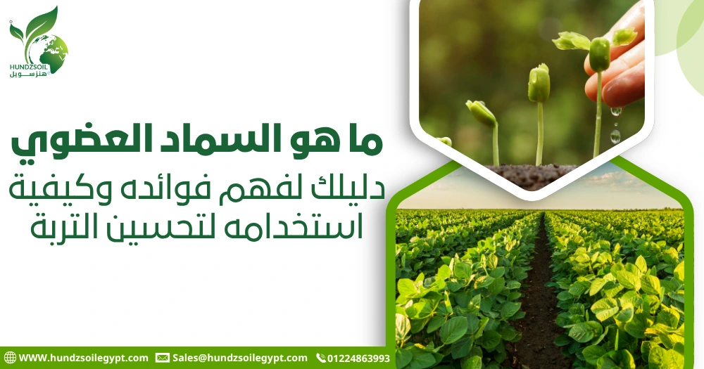 ما هو السماد العضوي