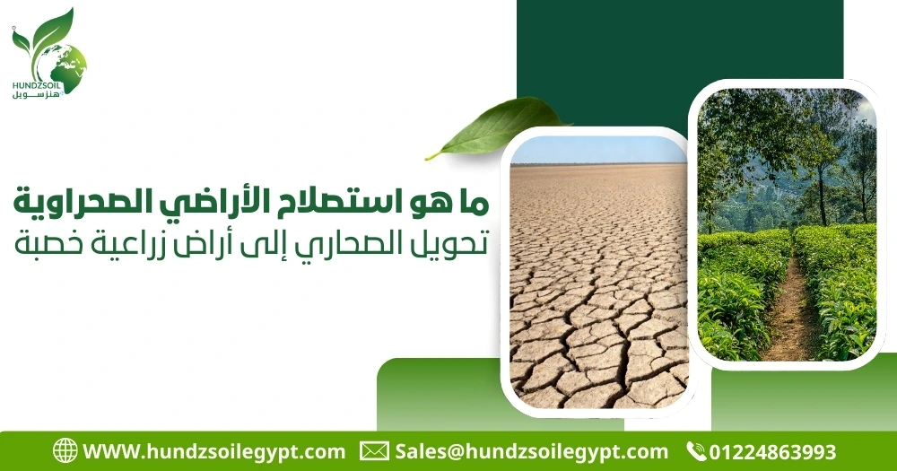 استصلاح الأراضي الصحراوية