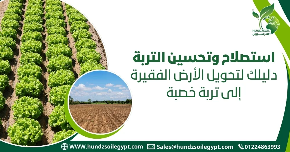 استصلاح وتحسين التربة
