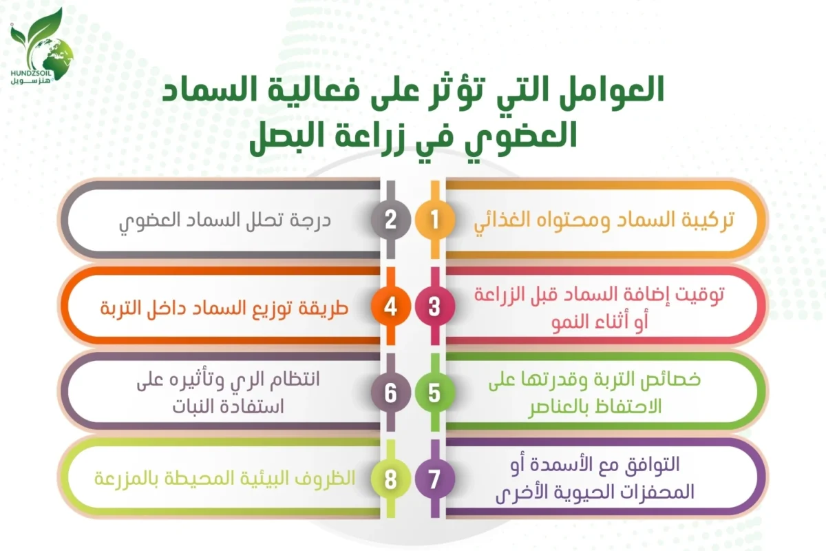 سماد عضوي للبصل